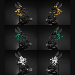 Kit Platine Arrière Bikers Kawasaki NINJA ZX-6R