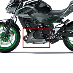 Couvre Inférieur Gauche Kawasaki Z500 14093-0981-25X