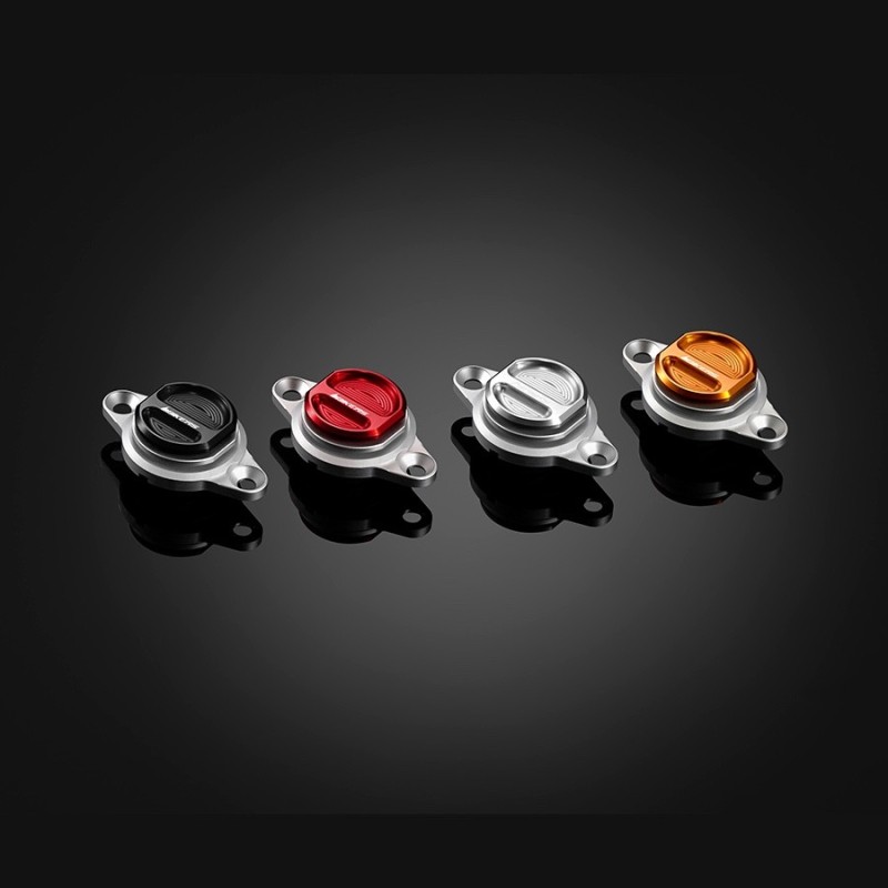 Generator Cover Plate Bikers Ducati Monster 795 / 796