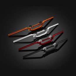 Guidon Barre Renfort Bikers Ducati Monster 795 D0023