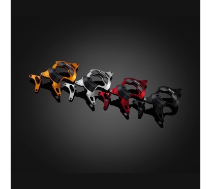 Protection Moteur Gauche Bikers Ducati Monster 795  / 796 D0053