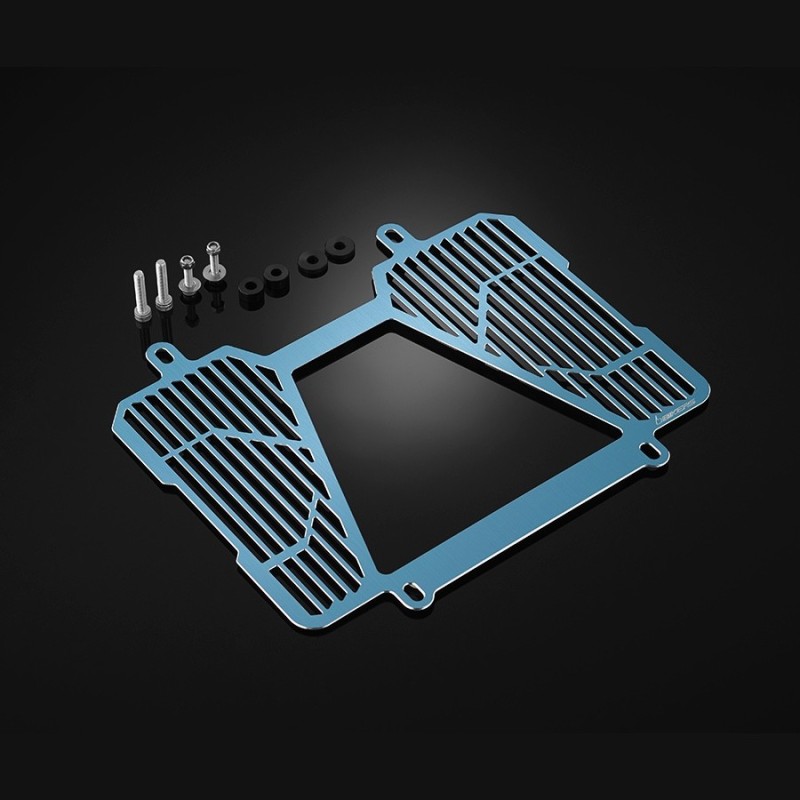 Titanium Radiator Guard Bikers BMW G310R