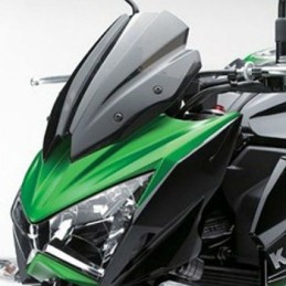 Accessoire Bulle Saute Vent Kawasaki Z800