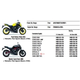 Ecope Flanc Avant droit Kawasaki ER6n 650