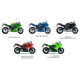 Reservoir Essence Kawasaki ER6f Ninja 650R 2009/10/11