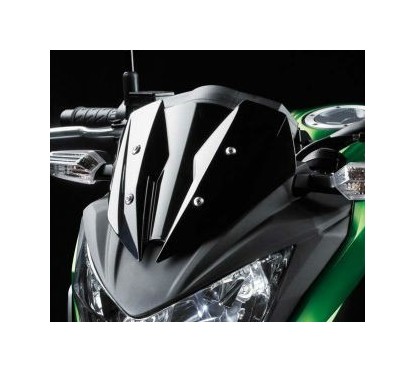 Windshield Kawasaki Z300