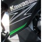 Sticker Motif Flanc Avant Gauche Kawasaki Z800 2014 2015