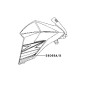 Pattern Shroud Right Kawasaki Z800 2014 2015