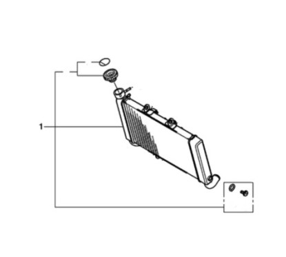 Radiateur Complet Honda CBR 650F