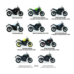 Ecope Flanc Avant droit Kawasaki ER6n 650