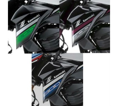 Set Marks Left Shroud Kawasaki Z800 2016