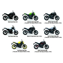 Mark Shroud logo Er6n 650 2012