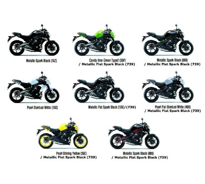 Mark Shroud logo Er6n 650 2012