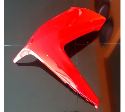 Carénage Flanc Avant Gauche Honda Forza 300