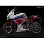 Reposes Pied Passager Bikers Honda CB300F CBR300R