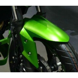 Garde Boue Avant Kawasaki Z300