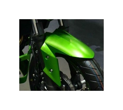 Front Fender Kawasaki Z300
