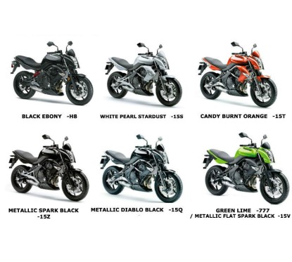 Autocollant Reservoir Kawasaki ER6n 650 2009/10/11