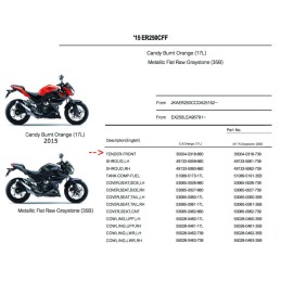 Garde Boue Avant Kawasaki Z250