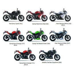 Cover Tail Left Kawasaki Z250