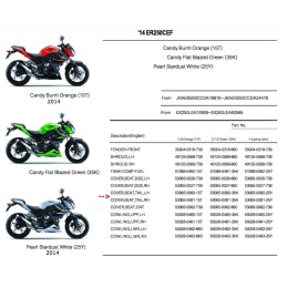 Carénage Flanc Arrière Gauche Kawasaki Z250
