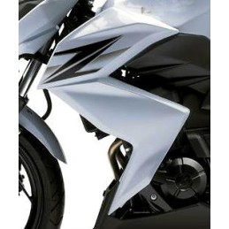 Shroud Left Kawasaki Z250
