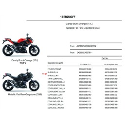 Carénage Flanc Avant Droit Kawasaki Z250