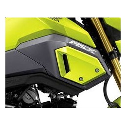 Front Cover Right Honda MSX GROM 125SF