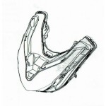 Light / Turn Signal Forza 125 2018/20