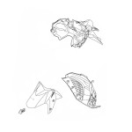 Pièces Garde Boue Origine Yamaha NMAX 2020 2021