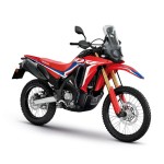 Pièces d'Origine Honda CRF300 RALLY 2021 2022