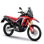 CRF300 RALLY 2023/24