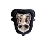 Light and Winkers CRF300L